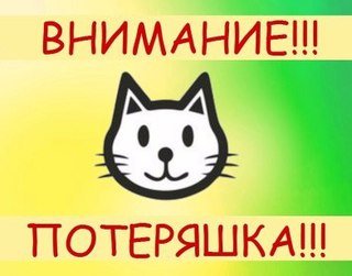 Внимание потеряшка картинки