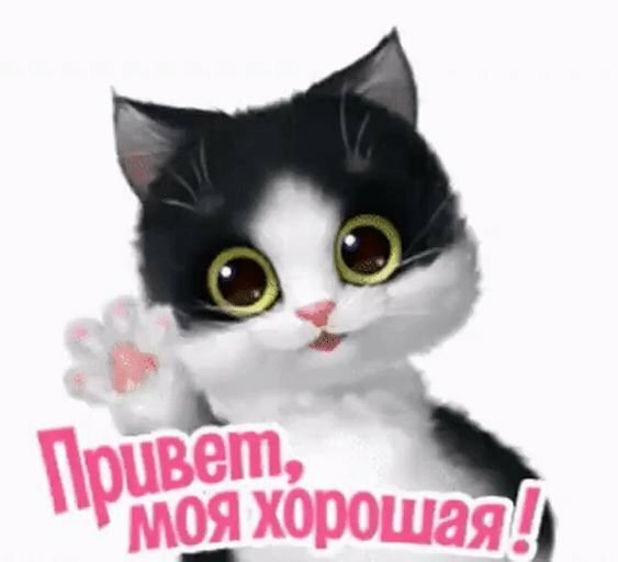 Привет моя хорошая