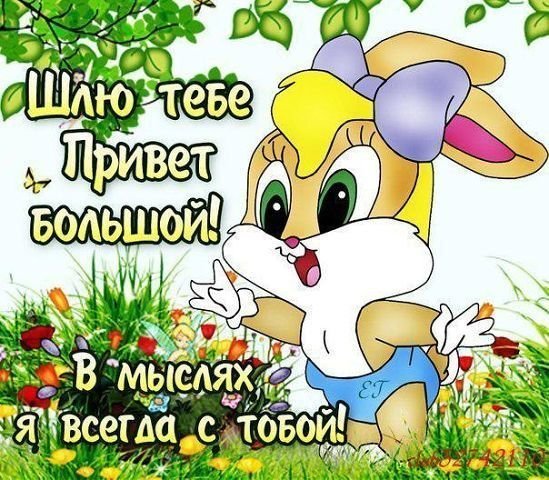 Открытки здрасте прикольные