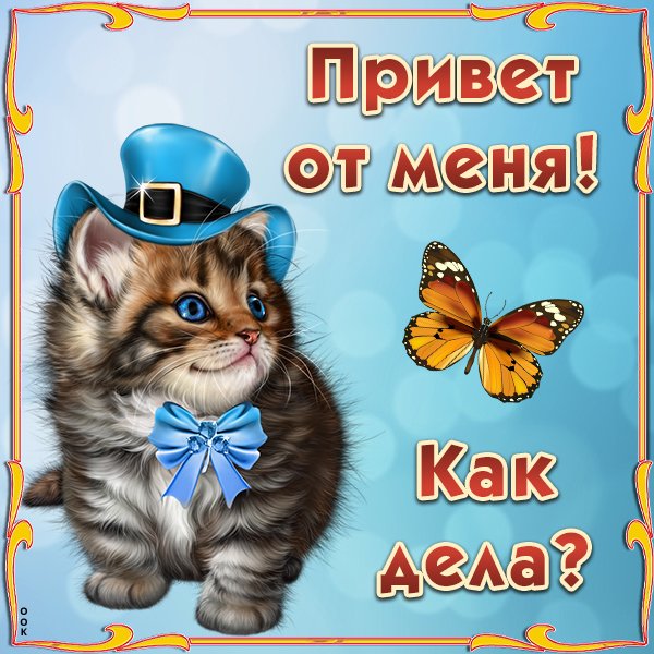 Открытки привет