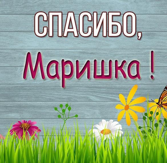 Маришка надпись