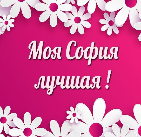 Привет Софья