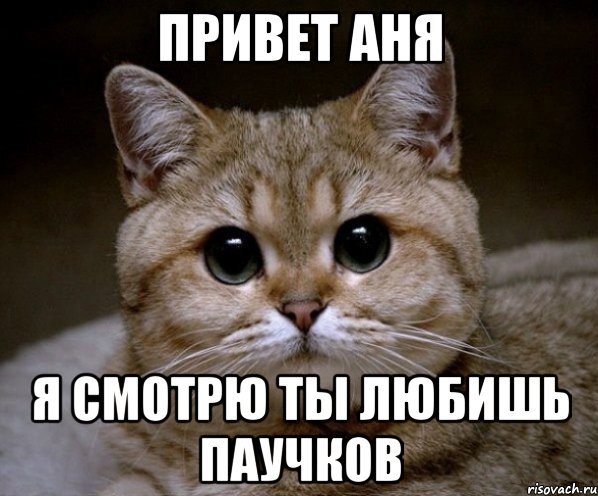 Привет я Аня