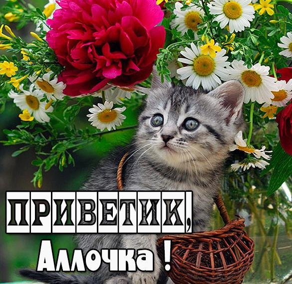 Марине приветик