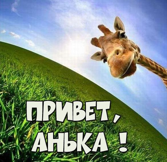 Аня как дела