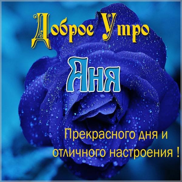 Привет Аня картинки