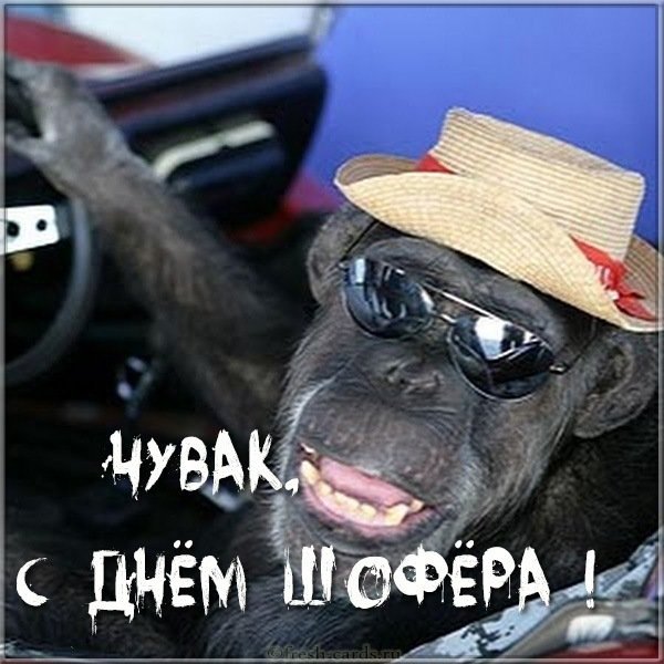 День автомобилиста юмор