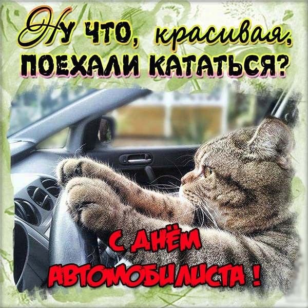 Поздравление с днем автомобилиста прикольные