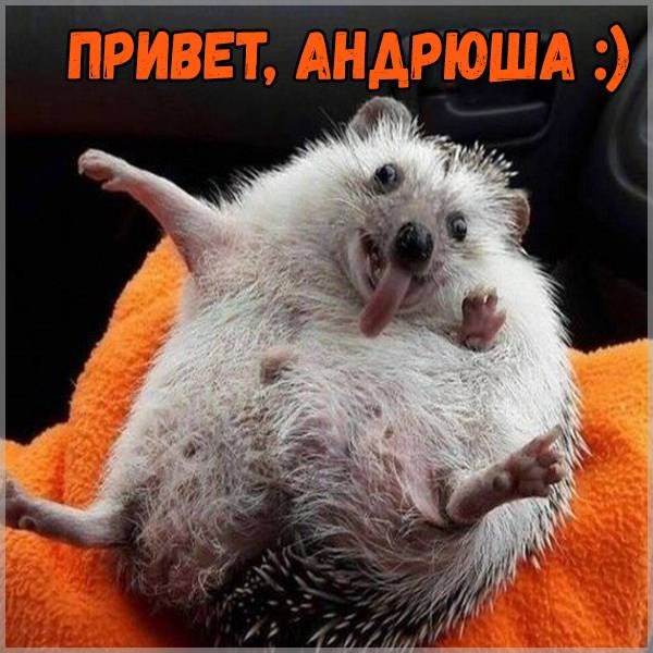 Светик приветик картинки