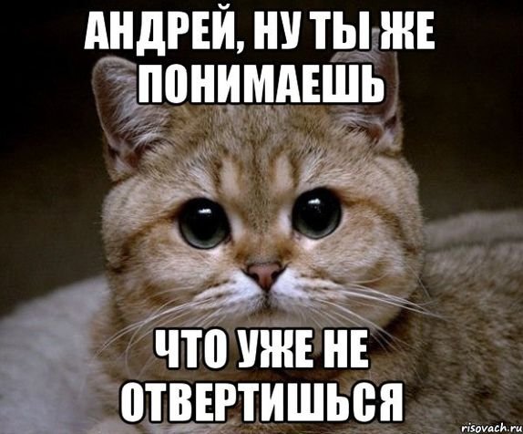 Прикольные картинки про Андрея