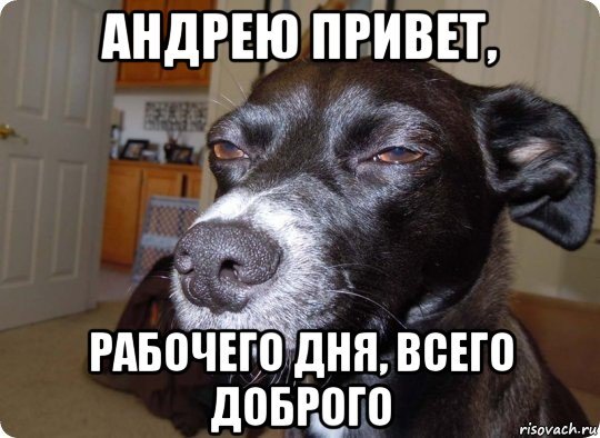 Привет Паша