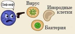 Шутки про иммунитет