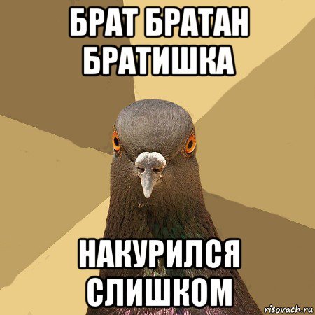 Брат братишка братуха