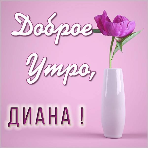 Мем привет Диана