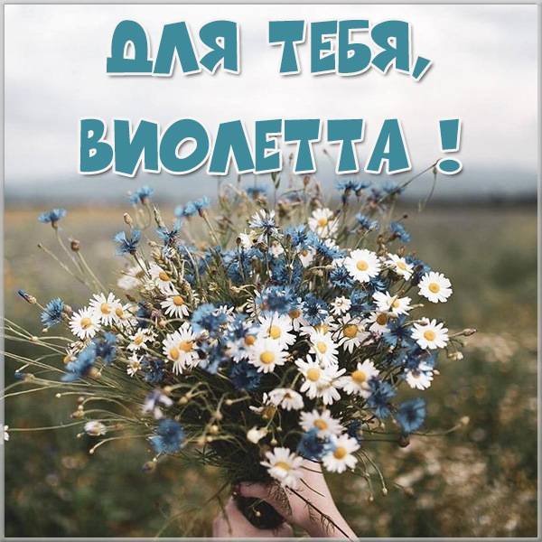 Стих про Диану
