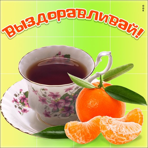 Не болей выздоравливай