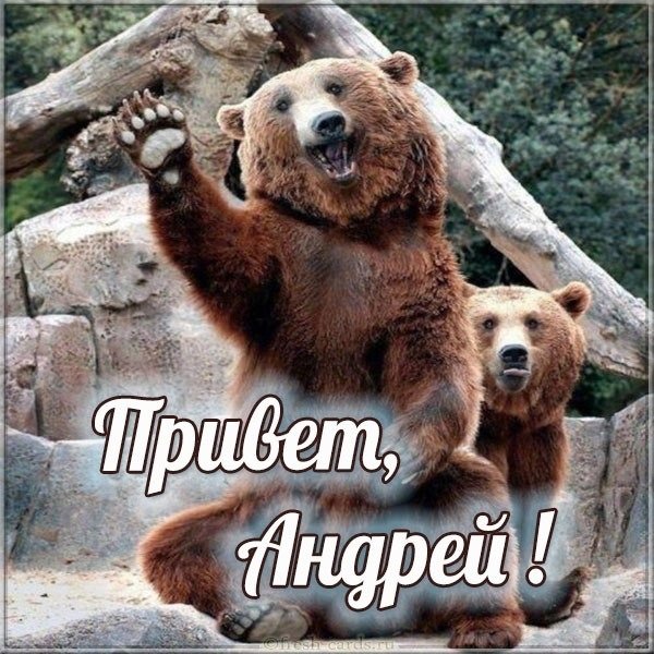 Привет Юра