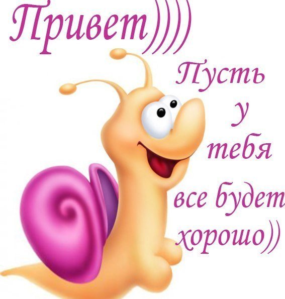 Привет прикол