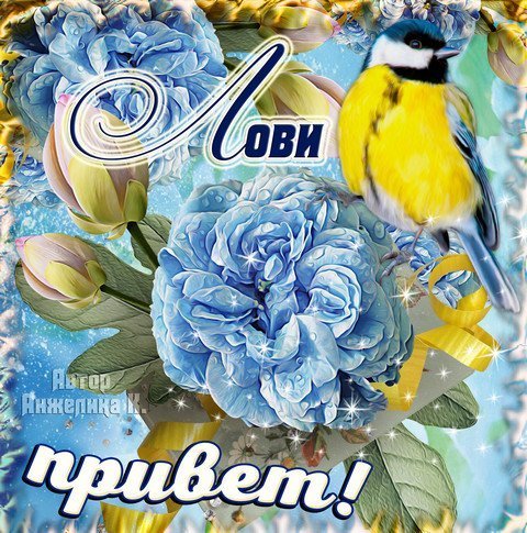 Привет солнышко