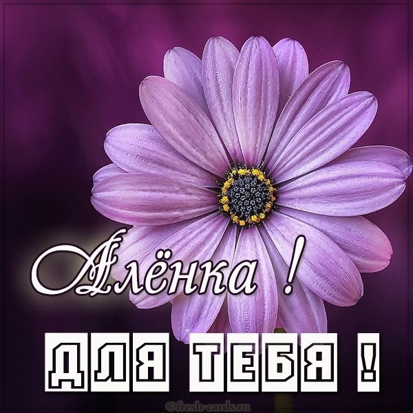 Талкинг Анжела
