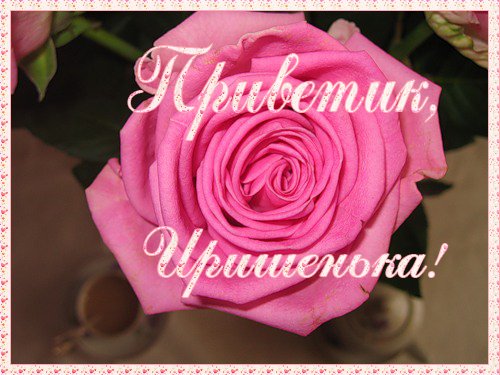 Добрый день Ирочка