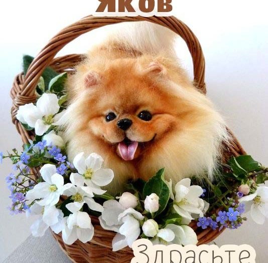 Стикеры Яша