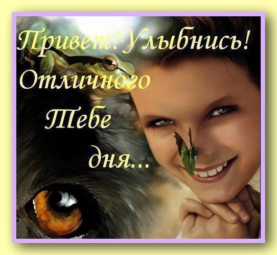 Хорошего дня и отличного настроения мужчине
