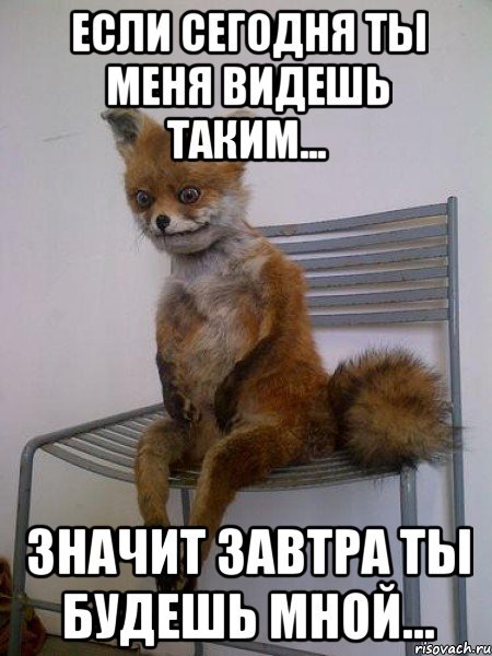 Открытки привет Вова