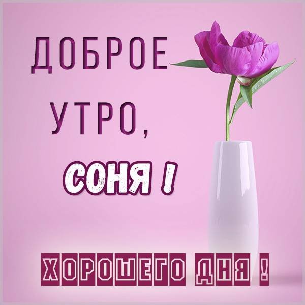 Доброе утро Соня