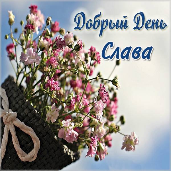 Привет Соня картинки