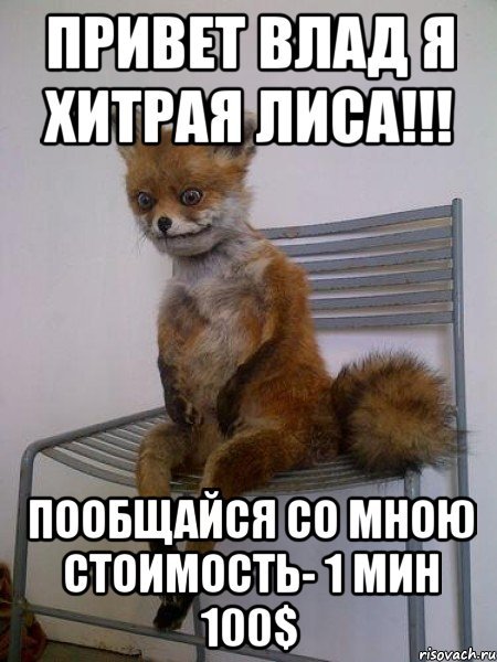 Привет Влад