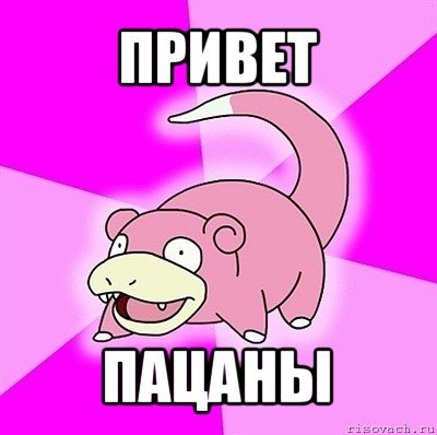 Слоупок привет