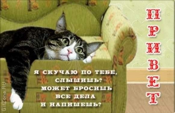 Привет скучаю по тебе