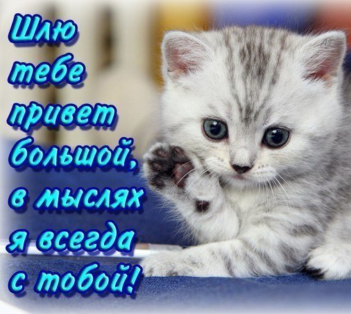 Привет скучаю по тебе