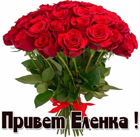 Спокойной ночи Леночка прикольные