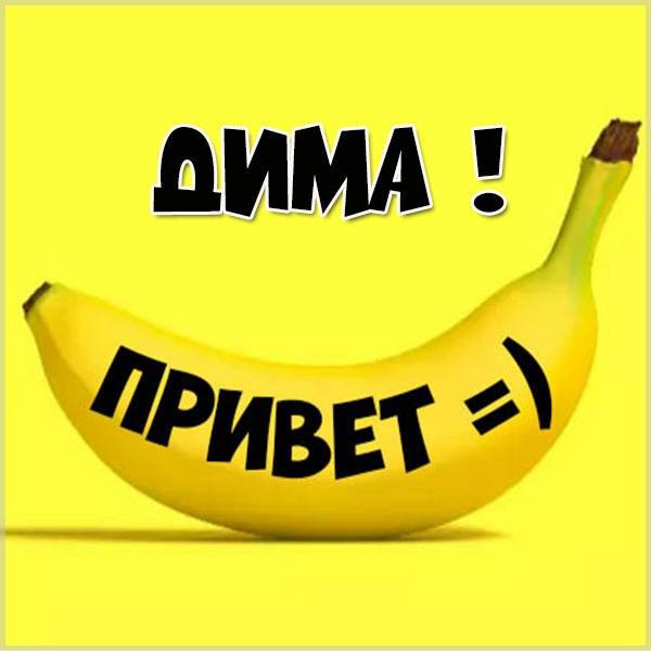 Привет ленка прикольные картинки