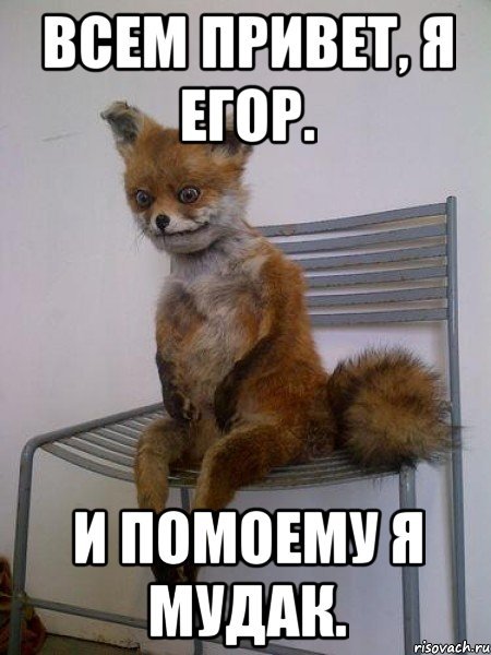 Привет Олег