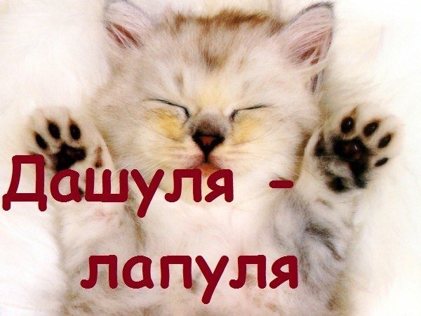Доброе утро Дашуля