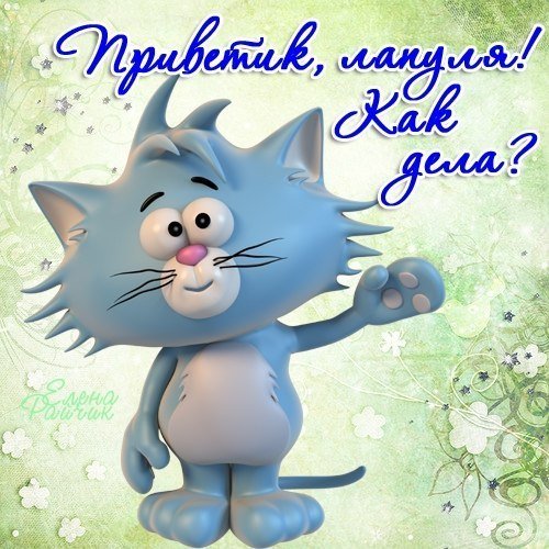 Приветик лапуля