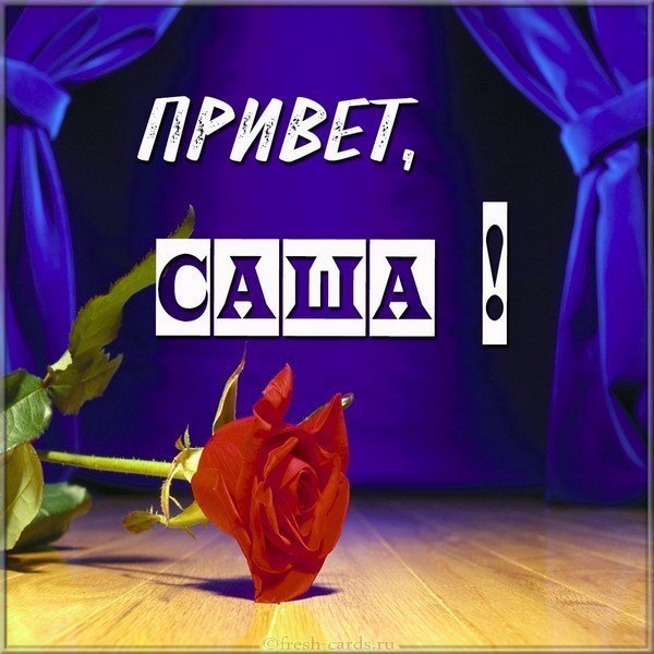 Привет котик