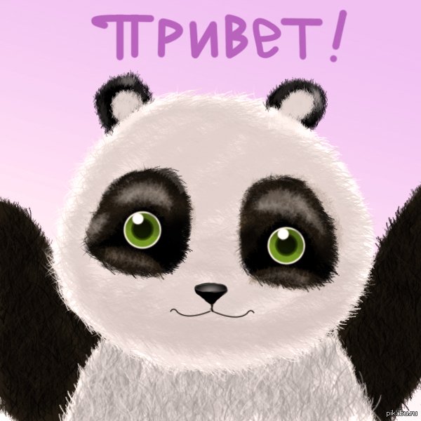 Панды добрый день
