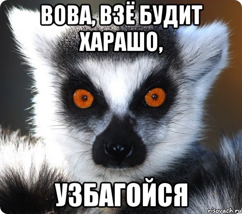 Привет Вова