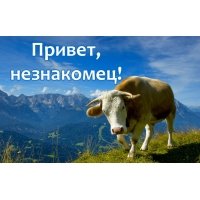 Привет незнакомец картинка