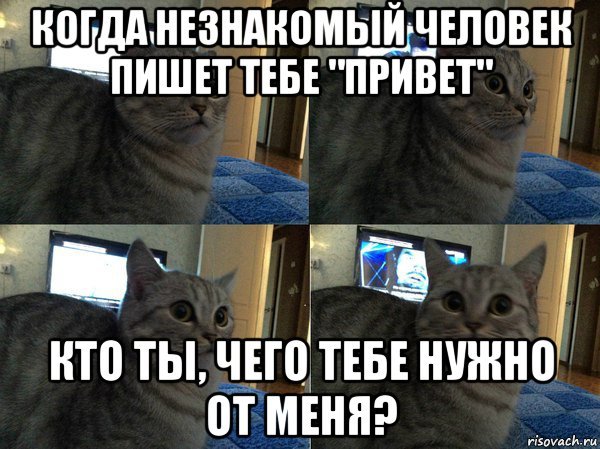 Привет, незнакомец