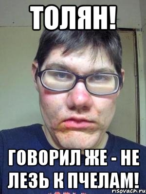 Пчел ты Мем постирония