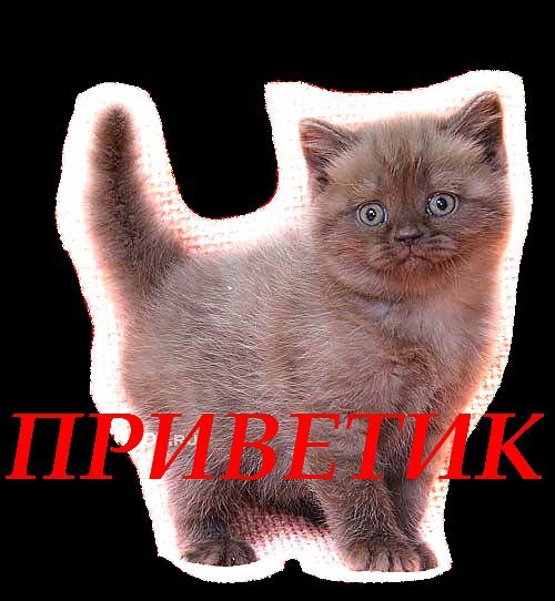 Открытки Людочка привет