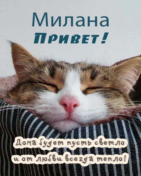 Открытка привет Михаил