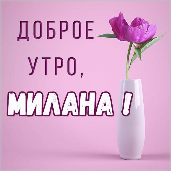 Милану привет Максим открытка
