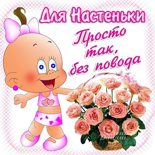 Котики милые няшные