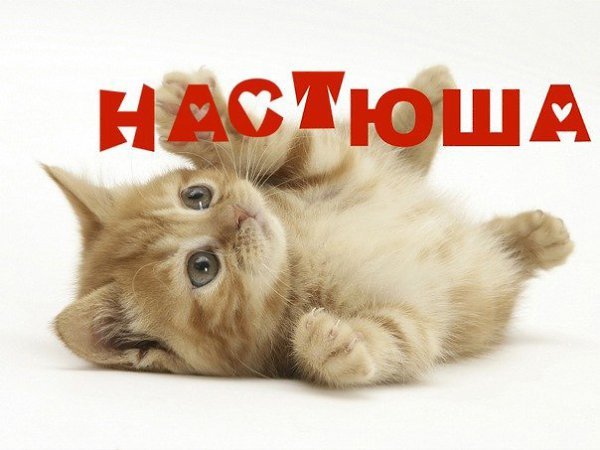 Настюша малыш Екатеринбург